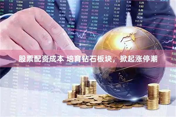 股票配資成本 培育鉆石板塊，掀起漲停潮